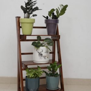 Teak Wood Ladder Stand | Wooden Ladder Shelve Bookshelf Finish Pine Wood Shelf Home Decorative for Showpiece Plant Stand (Only Stand)