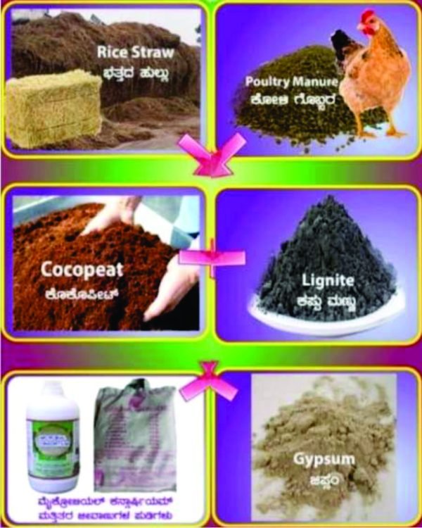 Organic Manure Compost | Organic Manure Compost for Plants | Enriched Manure for Home Gardening | Essential Fertilizers for Home Garden