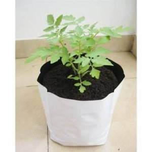 LDPE Grow Bags Plain