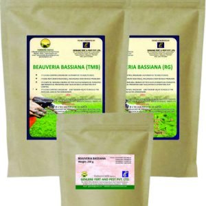 BEAUVERIA BASSIANA Powder | Biopesticide | For All Plants To control Aphids, Thrips & Whiteflies