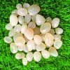 Cluster Onyx Pebbles | Glossy and Decorative Garden and Glass Pebbles | Onyx Stone Pebbles for Center Table Décor | Multi Purpose Polished Glossy Decorative Onyx Stone for Decoration & Home Decor