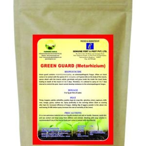 Green Guard (Metarhizium) | Metarhizium Anisopliae Powder for Controlling all Types of insects in Plants | Metarhizium for plants