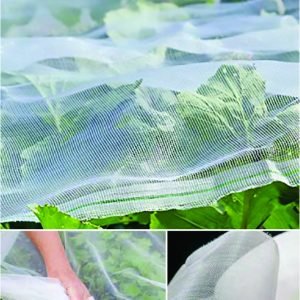 Insect Net | Garden Mesh Netting for Plant Protctive, Durable PE Plant Netting Cover for Protect Your Vegetables, Fruits, Flower & Trees, Greenhouse Cover Protection Mesh Net Covers