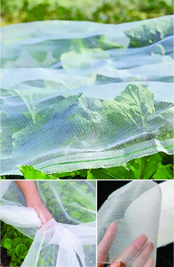 Insect Net | Garden Mesh Netting for Plant Protctive, Durable PE Plant Netting Cover for Protect Your Vegetables, Fruits, Flower & Trees, Greenhouse Cover Protection Mesh Net Covers