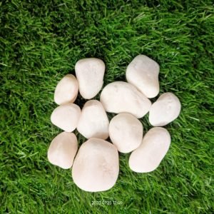 Normal Pebbles | Unpolished White Marble Pebbles For Garden Decor | Stone/Pebbles