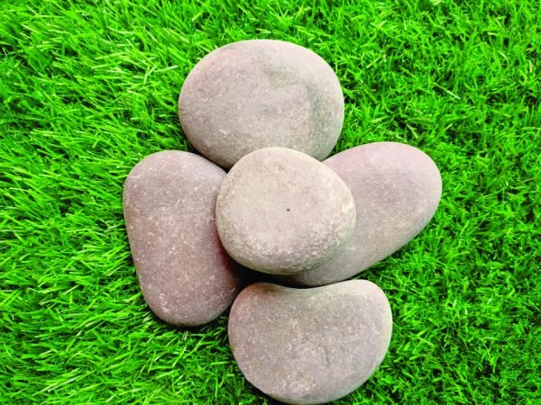 Stone Pebbles Brown | River Rocks Natural Multicolour Big Monster Stone for Painting, Aquarium/Fish Tank, DIY, Arts, Crafts, Home Decoration, Garden, and Swimming Pool