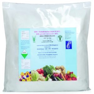 PSEUDOMONAS | Bio Pesticide | PSEUDOMONAS FLUORESCENS POWDER