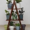 Teak Wood 'A' Shaped Stand 3 Tier | Wood Plant Stand, Indoor/Outdoor Flower Pot/Plant Stand for Home Garden Balcony Living Room Decor Brown Only Stand