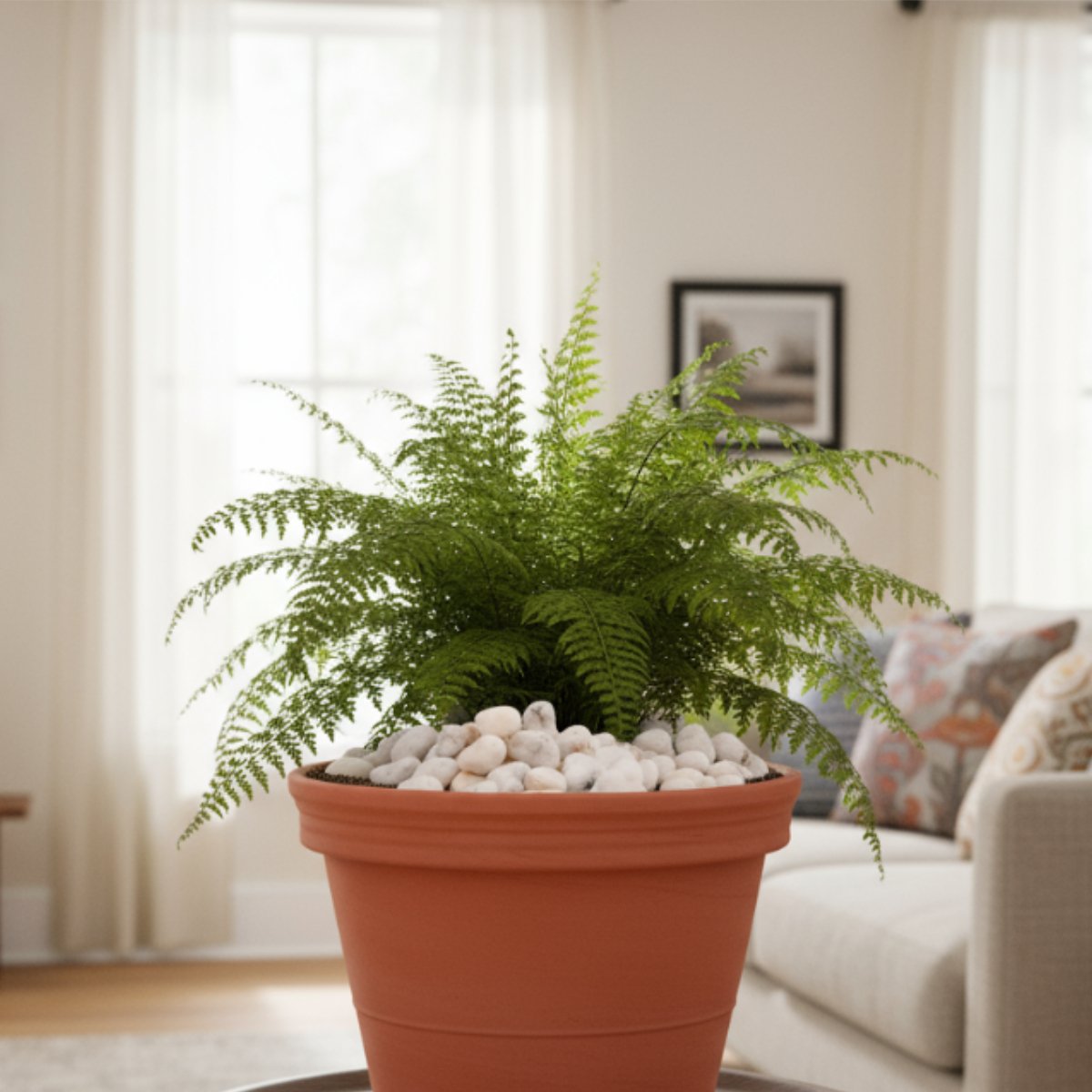 Normal Pebbles | Unpolished White Marble Pebbles For Garden Decor | Stone/Pebbles 3 6