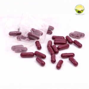 Kitchen Waste Decomposer CAPSULE