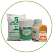 Fertilizers