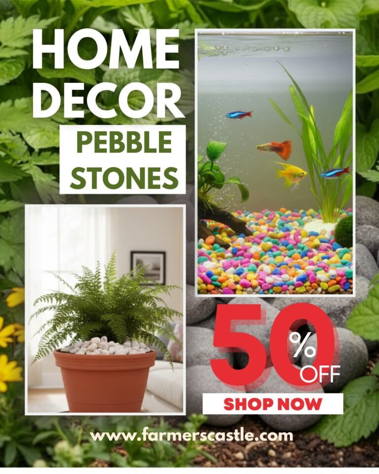 Instagram post from farmerscastle.gfpindia. This post is in position 1.