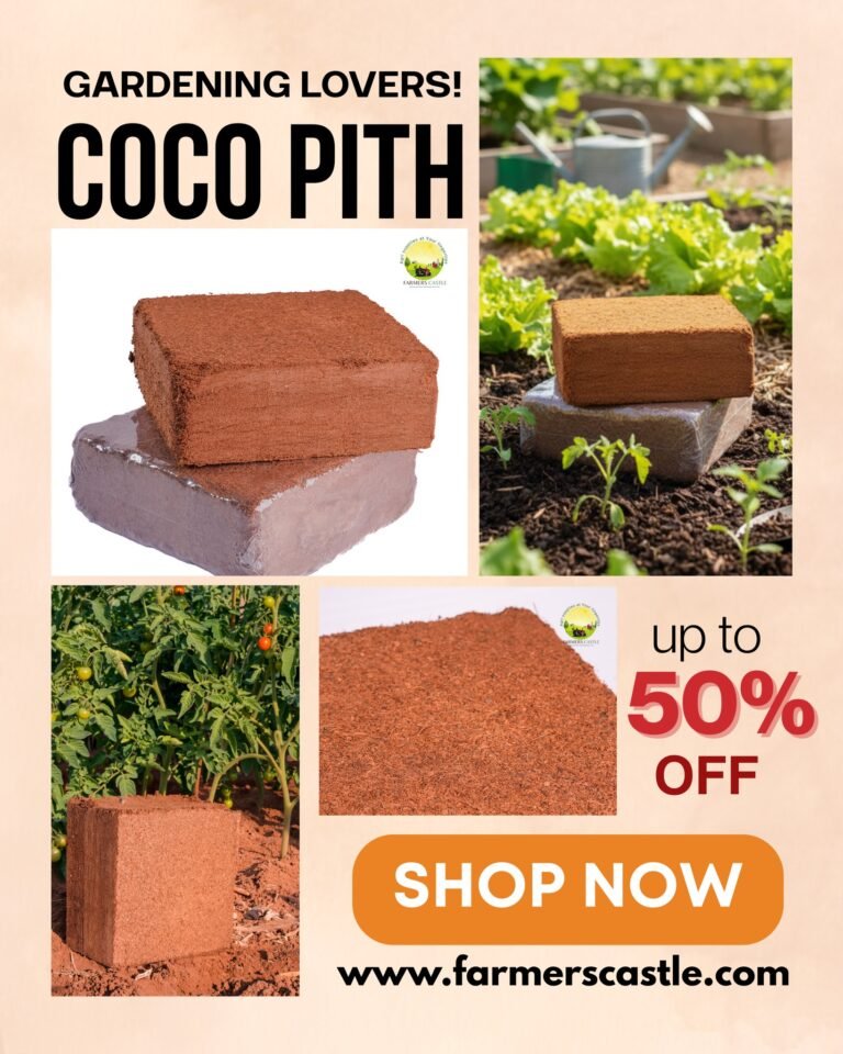 Instagram post from farmerscastle.gfpindia. This post is in position 1.