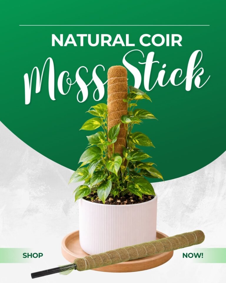 Instagram post from farmerscastle.gfpindia. This post is in position 1.