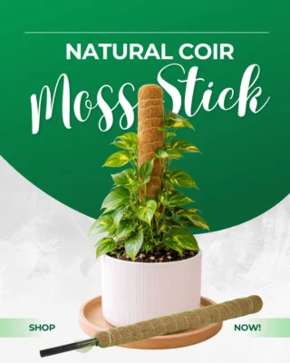 Instagram post from farmerscastle.gfpindia. This post is in position 5.