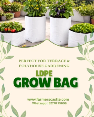 Instagram post from farmerscastle.gfpindia. This post is in position 1.