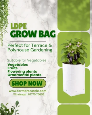 Instagram post from farmerscastle.gfpindia. This post is in position 1.